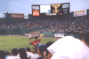 redsoxpeanuts.gif (22209 bytes)