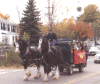 hinghamhorseandcarriage.gif (41953 bytes)