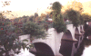 sturbrigefallsbridgeofflowers2.gif (40443 bytes)